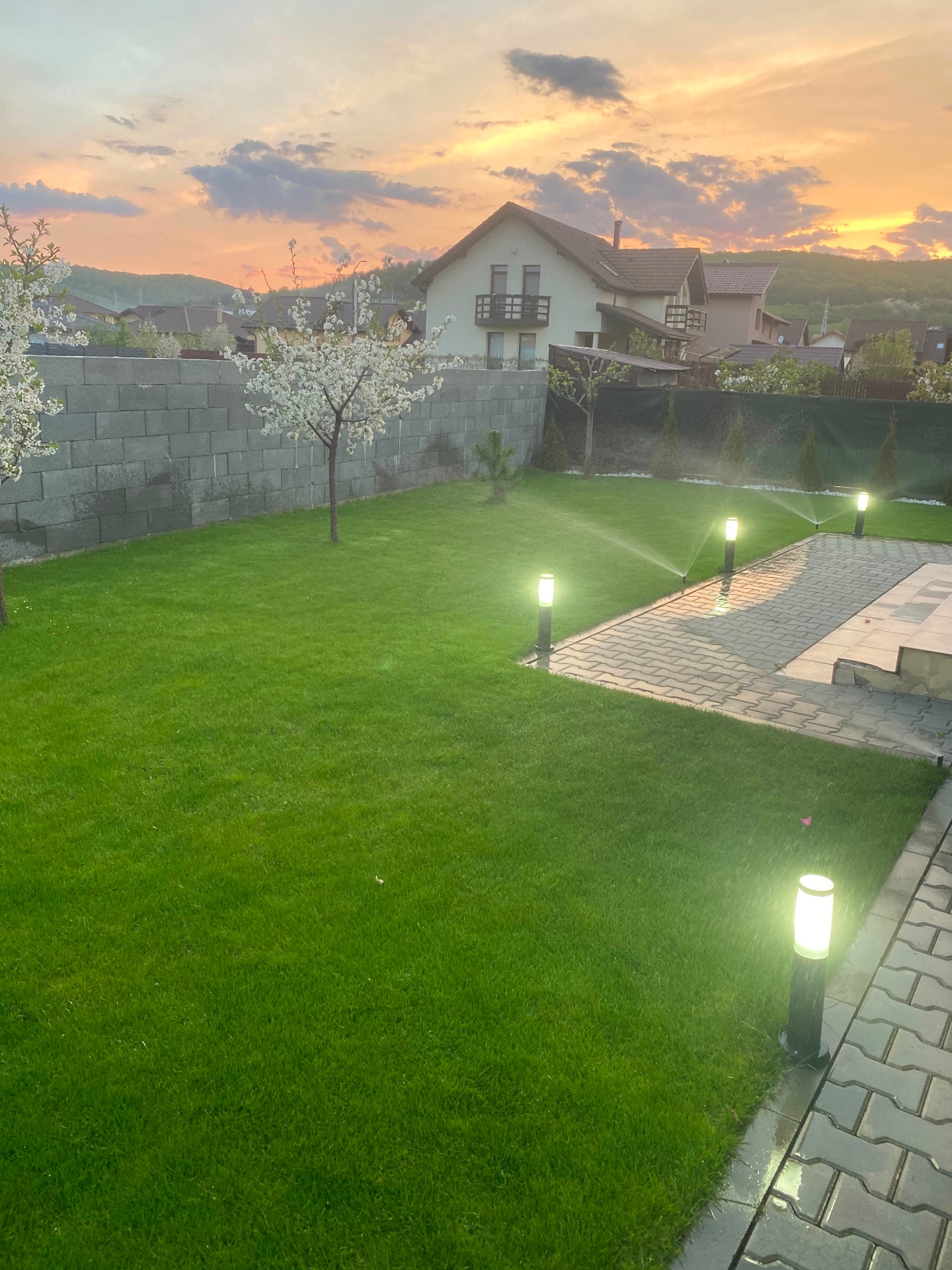 Gazon premium amenajat de RoyalDav Garden la apus